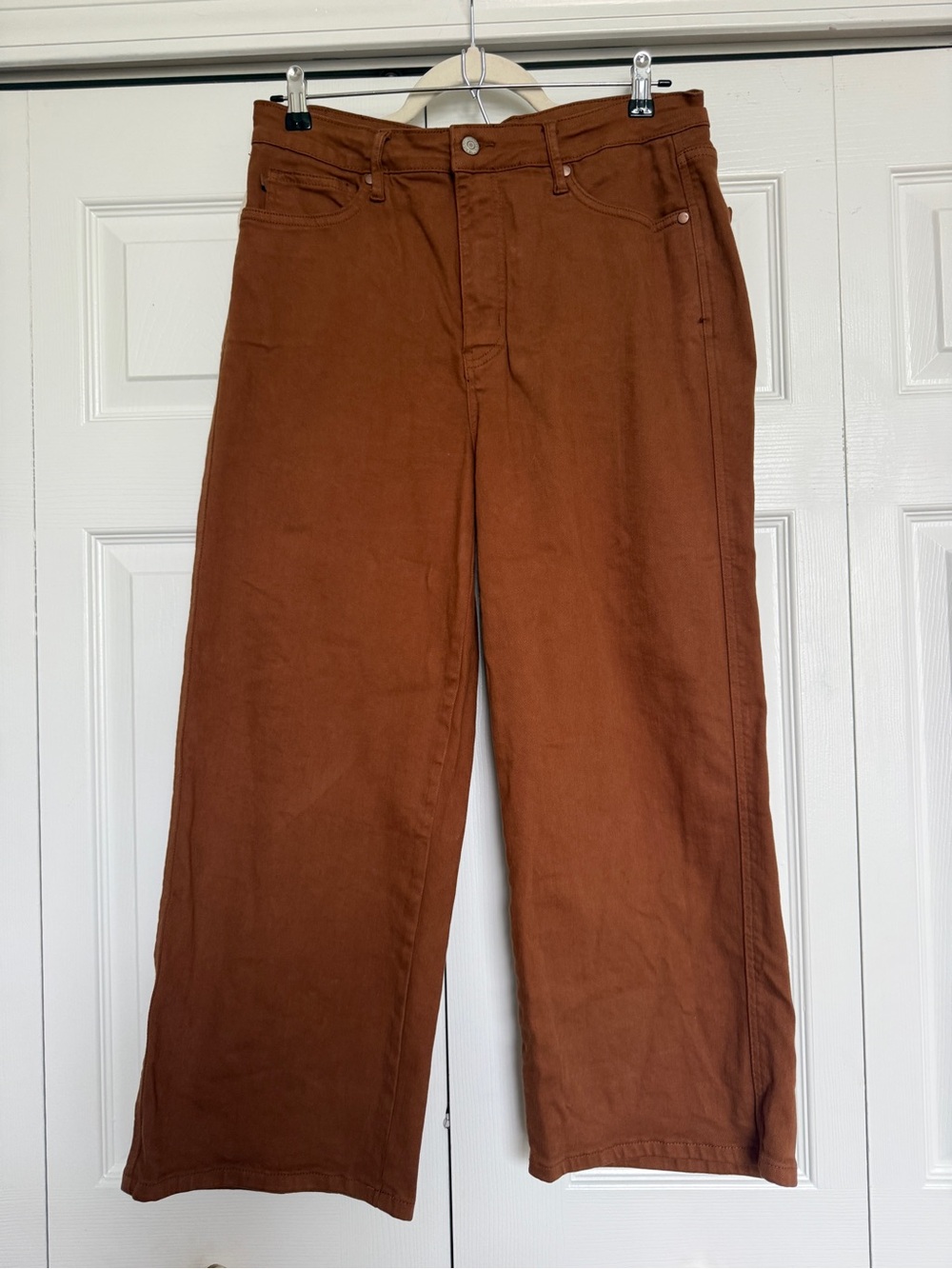 Judy Blue Denim Jeans in Rust Brown